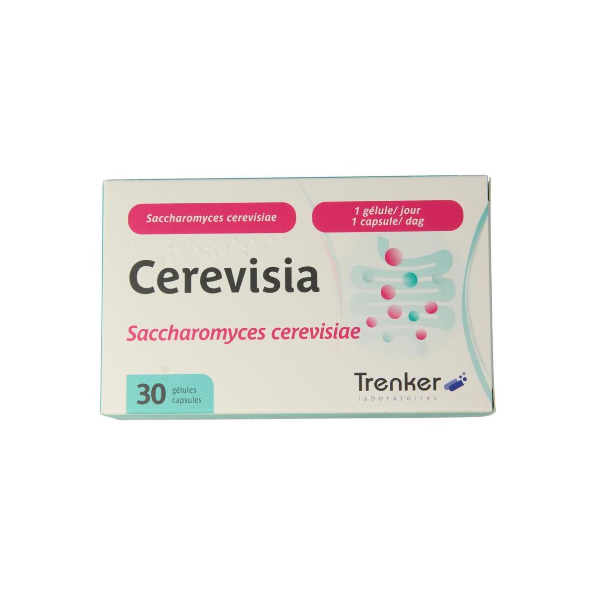 Cerevisia