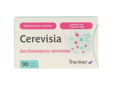 Cerevisia