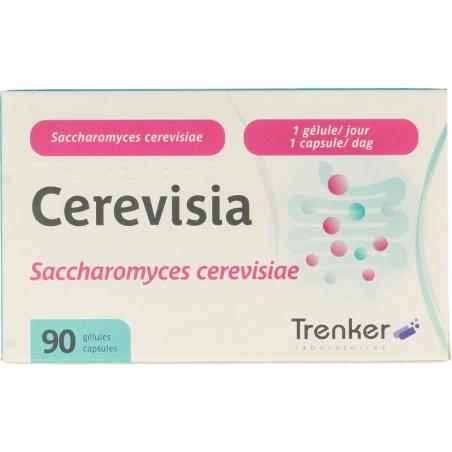 Cerevisia