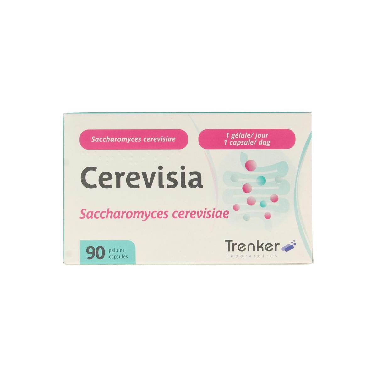 Cerevisia