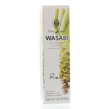 Wasabi pasta tube