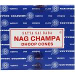 Kegelwierook Satya nag champa