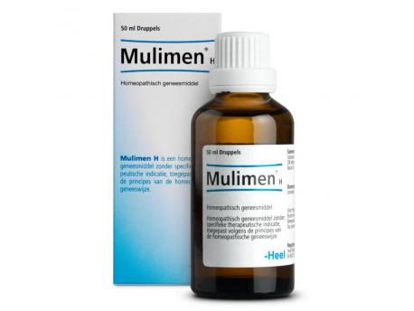 Mulimen H