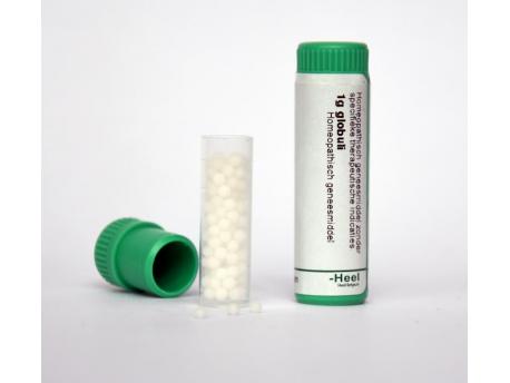 Arsenicum iodatum LM1