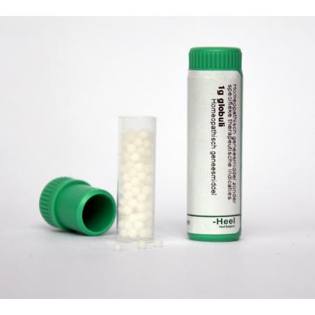 Arsenicum iodatum LM1