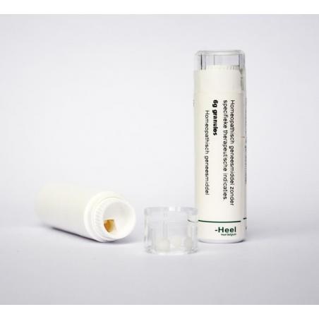 Arsenicum iodatum 50MK