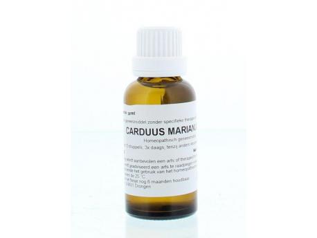 Carduus marianus D6