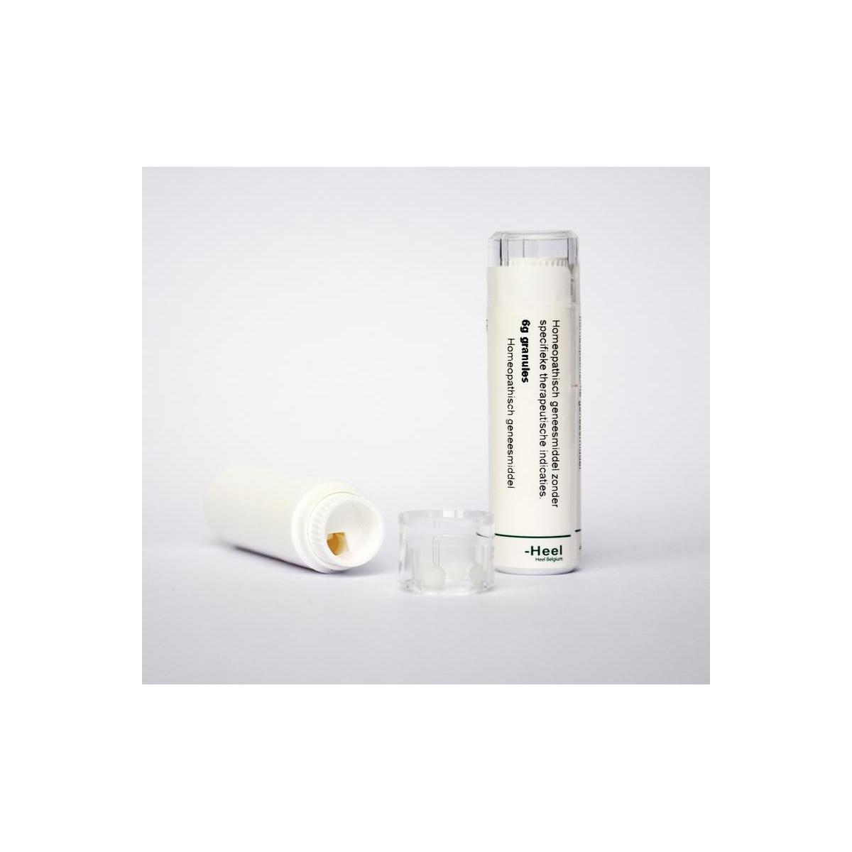 Arnica montana 12K