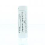 Crataegus oxyacantha 30K