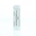 Histaminum muriaticum 30CH