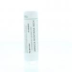 Arnica montana 30CH