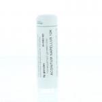 Aconitum napellus 12K