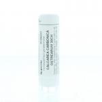 Calcarea carbonica ostrearum 30CH