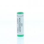 Hepar sulphur D30