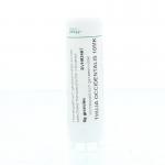 Thuja occidentalis 10MK