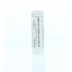 Aconitum napellus 200K