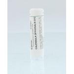 Calendula officinalis D12