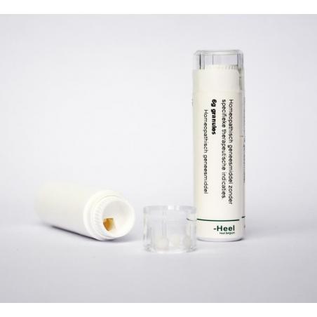 Magnesium muriaticum 60K