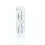 Berberis vulgaris D30