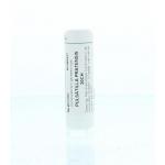 Pulsatilla pratensis 30CH