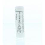 Ammonium muriaticum D12