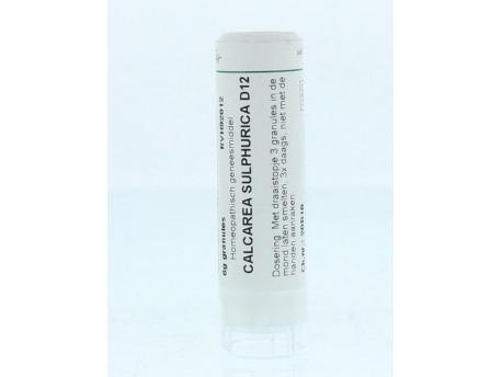 Calcarea sulphurica D12