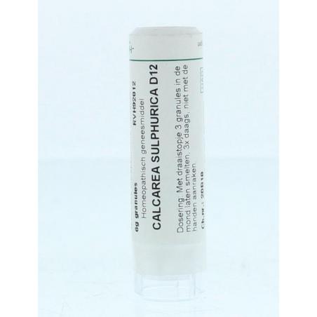 Calcarea sulphurica D12