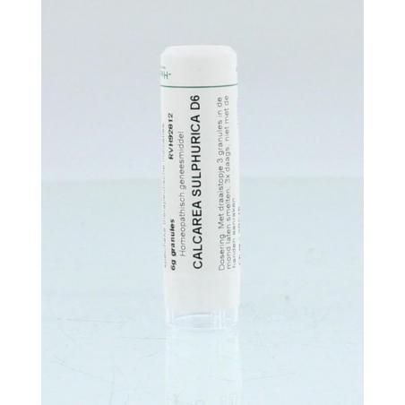 Calcarea sulphurica D6