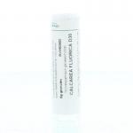 Calcarea fluorica D30