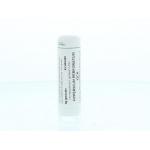 Hypericum perforatum 12CH