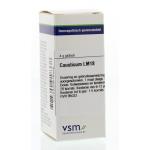 Causticum LM18