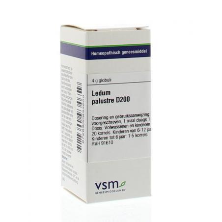 Ledum palustre D200