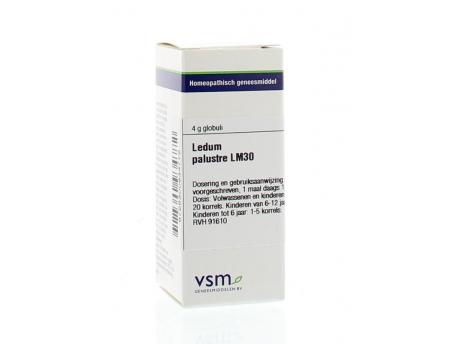 Ledum palustre LM30