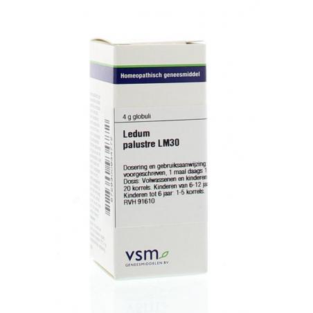 Ledum palustre LM30