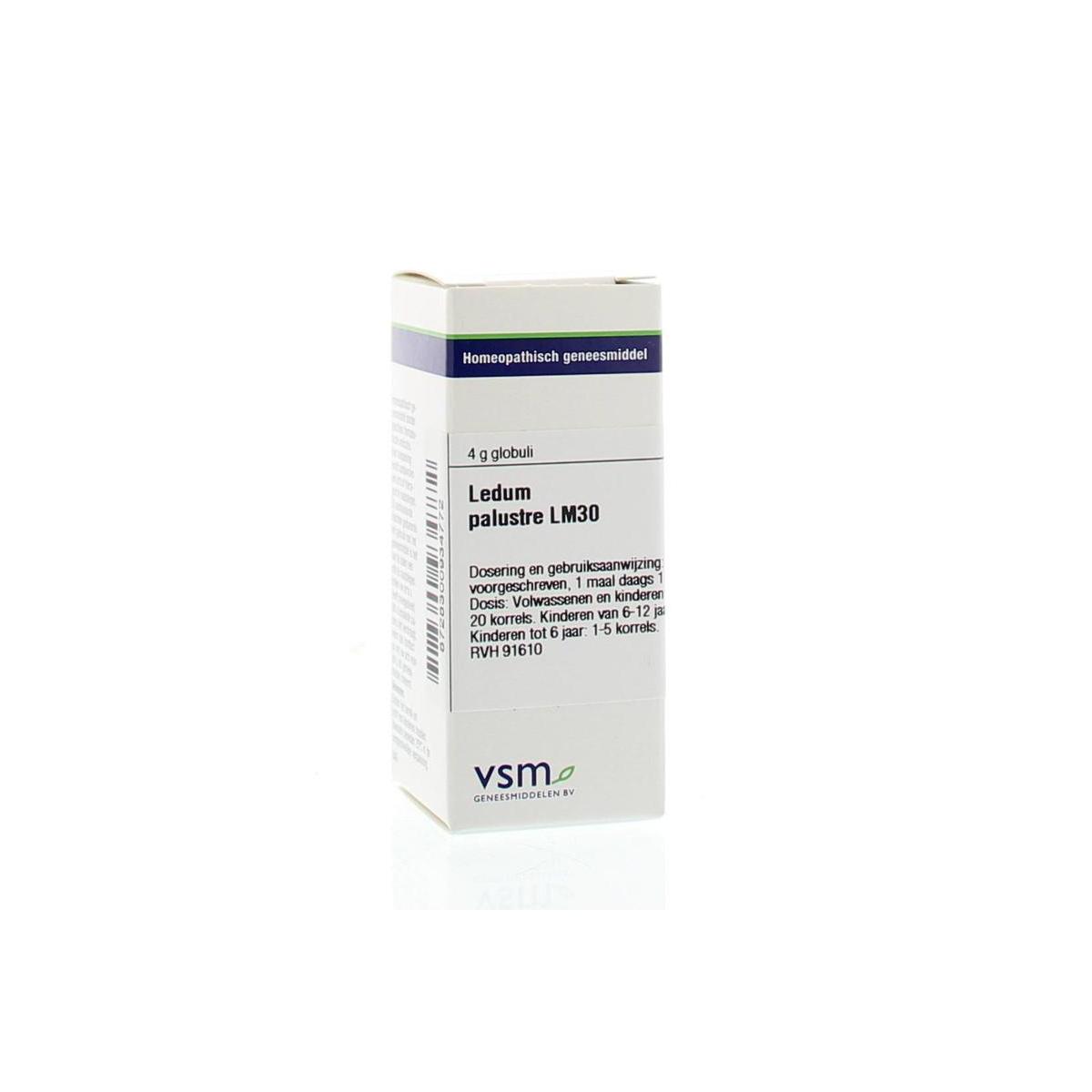 Ledum palustre LM30