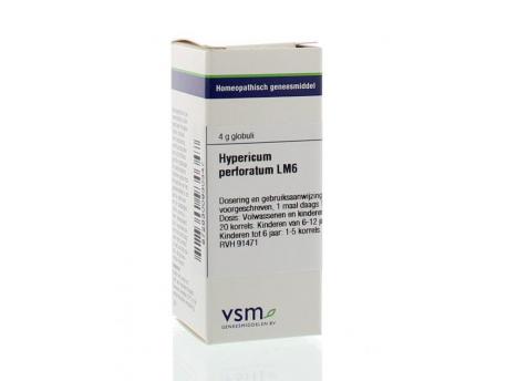 Hypericum perforatum LM6