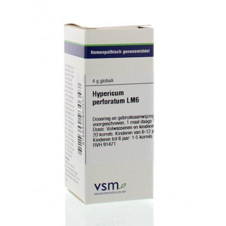 Hypericum perforatum LM6