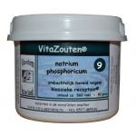 Natrium phosphoricum VitaZout Nr. 09