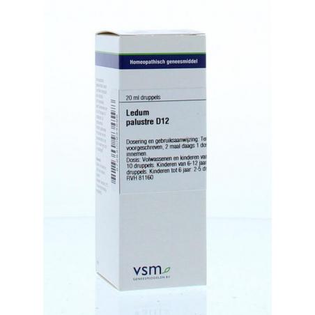 Ledum palustre D12