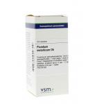 Plumbum metallicum D6