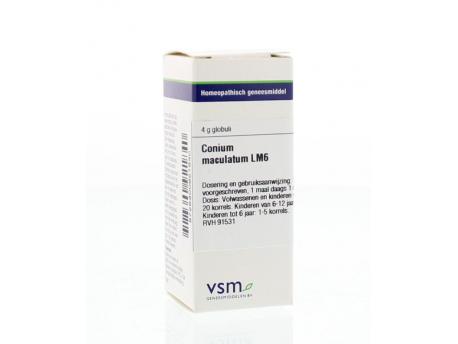 Conium maculatum LM6