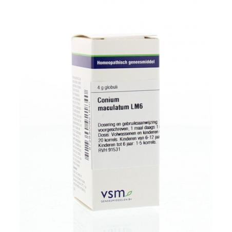 Conium maculatum LM6