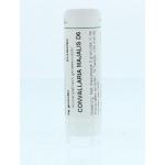 Convallaria majalis D6