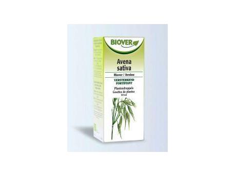 Avena sativa tinctuur