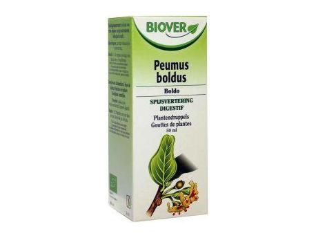 Boldo fragrans tinctuur