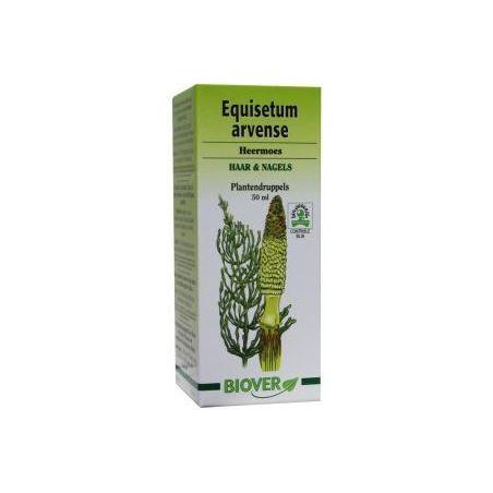 Equisetum arvense tinctuur