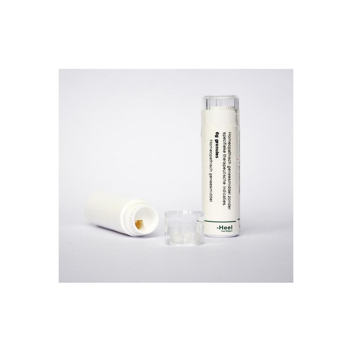 Calendula officinalis LM1