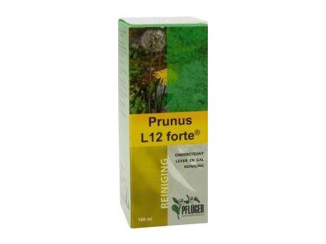 Prunus L12 forte