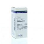 Hamamelis virginiana C200