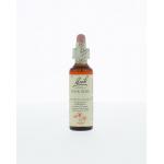 Rock rose / zonneroosje